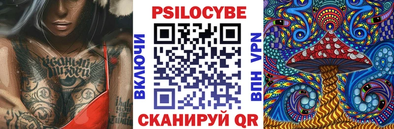 сколько стоит  Подольск  Галлюциногенные грибы Cubensis 