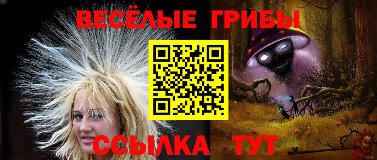 наркота  Псилоцибиновые грибы мицелий  Вход с VPN  Псилоцибиновые грибы Magic Shrooms  Подольск 
